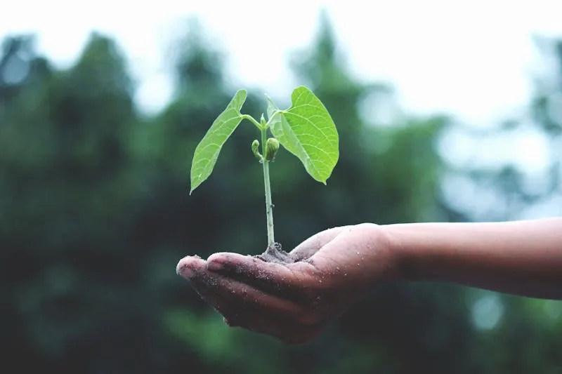 Commercialisation : comment engager efficacement le dialogue avec les acheteurs de viande