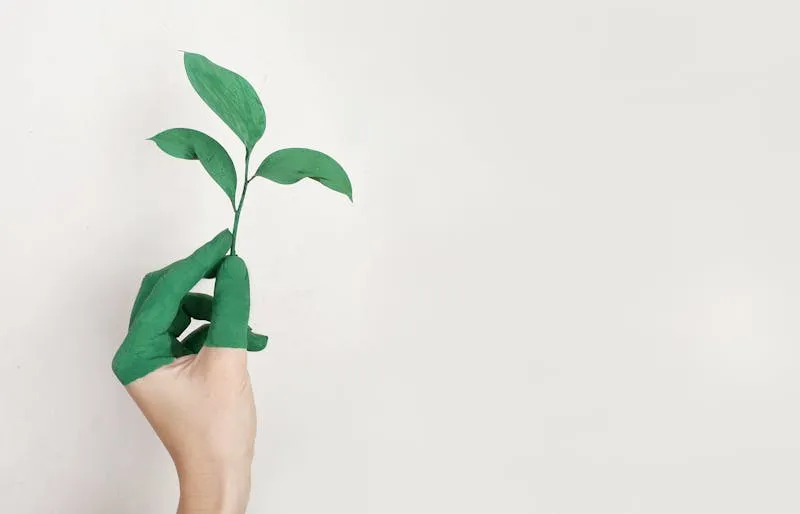 Une gamme variée de céréales, viandes et fruits pour toutes vos envies
