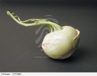 stock-images-chou-rave-cabbage-vegetable-pixmac-1771993.jpg